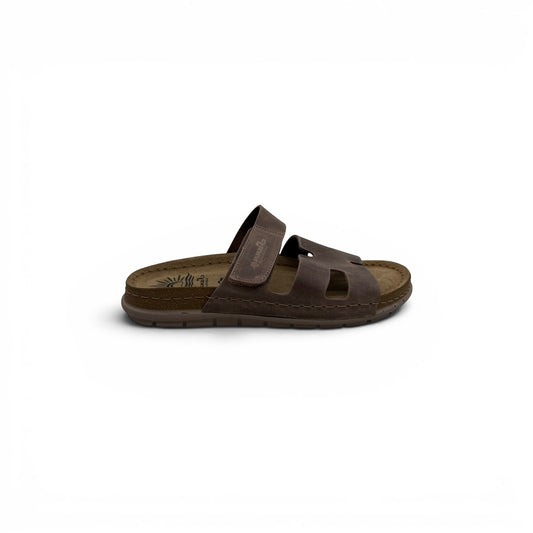 SIENNA 60305